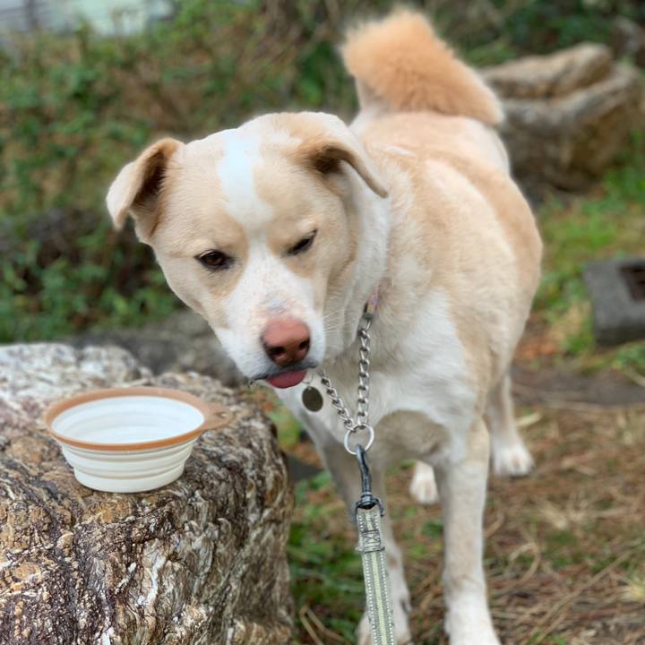 501c90b0 49ac 463e a9ed b73c265928a4 1551570496095