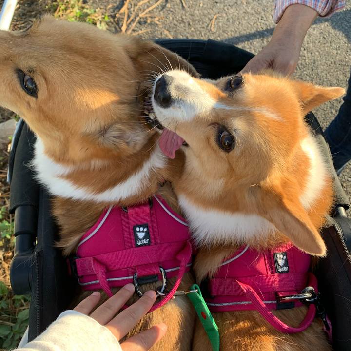 501c9191 1d72 4bf2 9eda 990e50475bdf 1628117794045