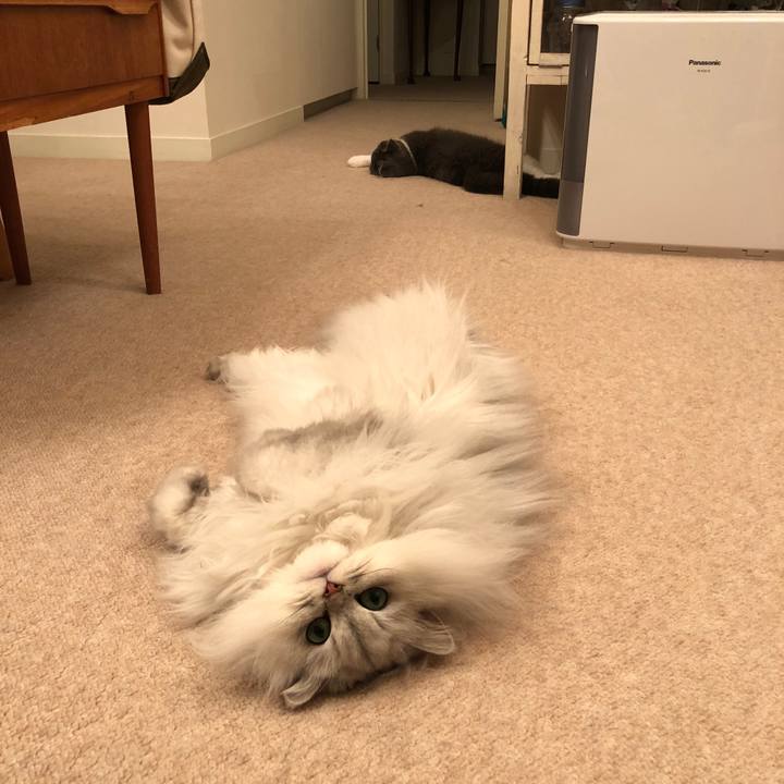 501ca402 a82e 44fa a0f9 96cd7937eda3 1521284781763