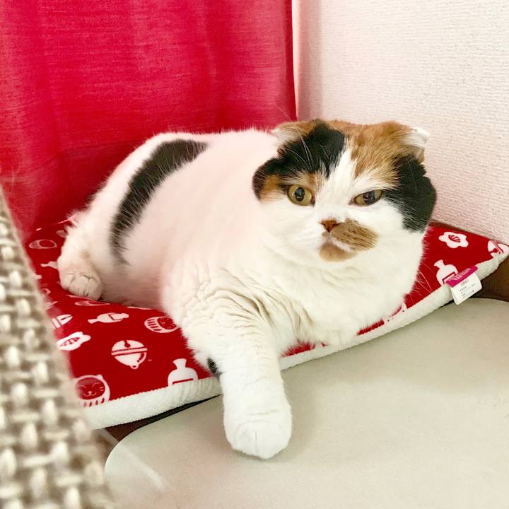 501caadd 1bd4 40d1 8121 c993f592942b 1570402481958