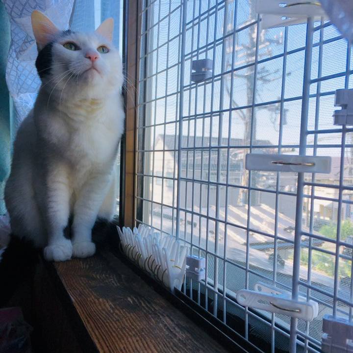 501cba80 9b10 47e3 80c7 104816e71e33 1558737999431