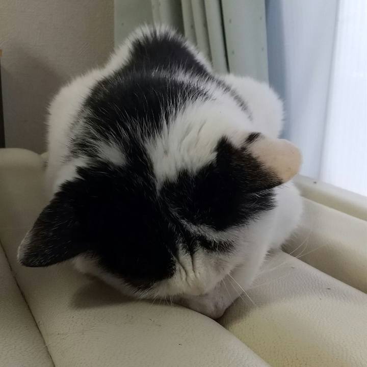 501d60ca fb6d 448e 9abb aab8af3d51d5 1690705325194