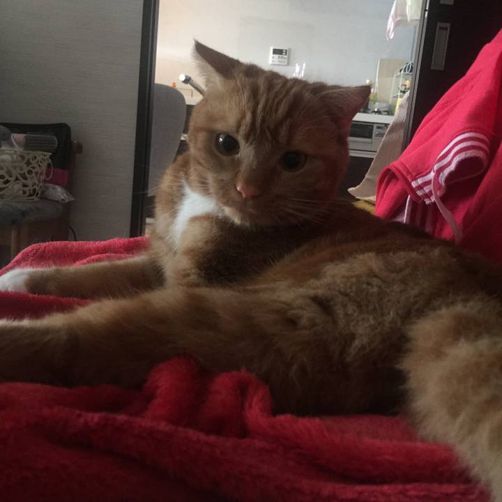 501d832c a4d9 4a6a 8755 27dfc108a7c5 1531002820653