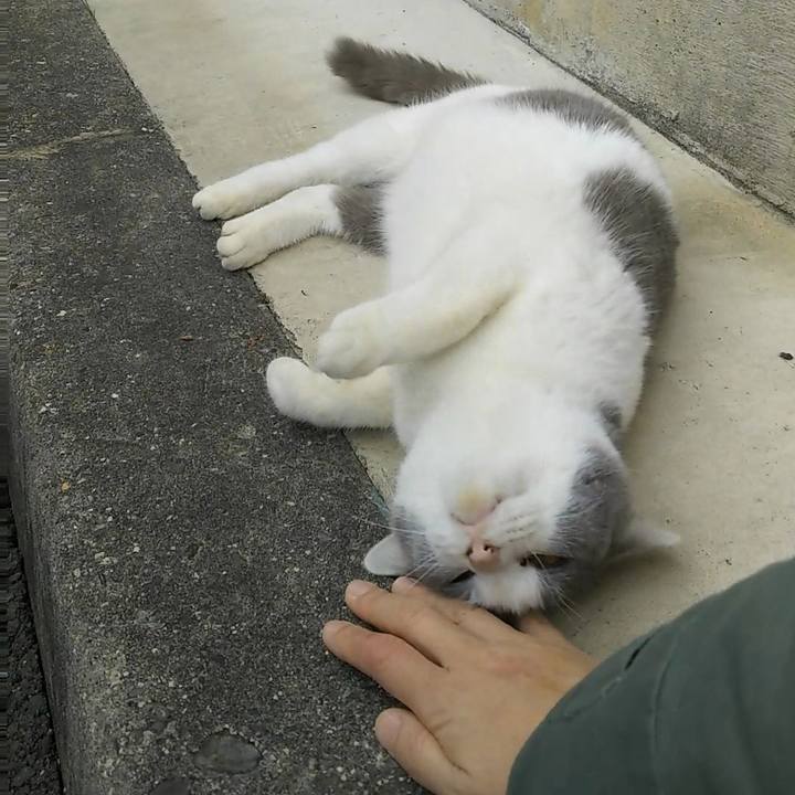 501d9ff7 3112 4d9b bf00 24799577a0fb 1511945613963