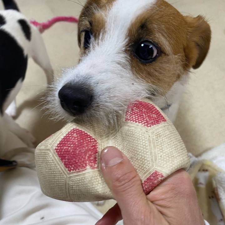 501da5b7 d252 4420 8785 c57e63f0c31e 1746872860093