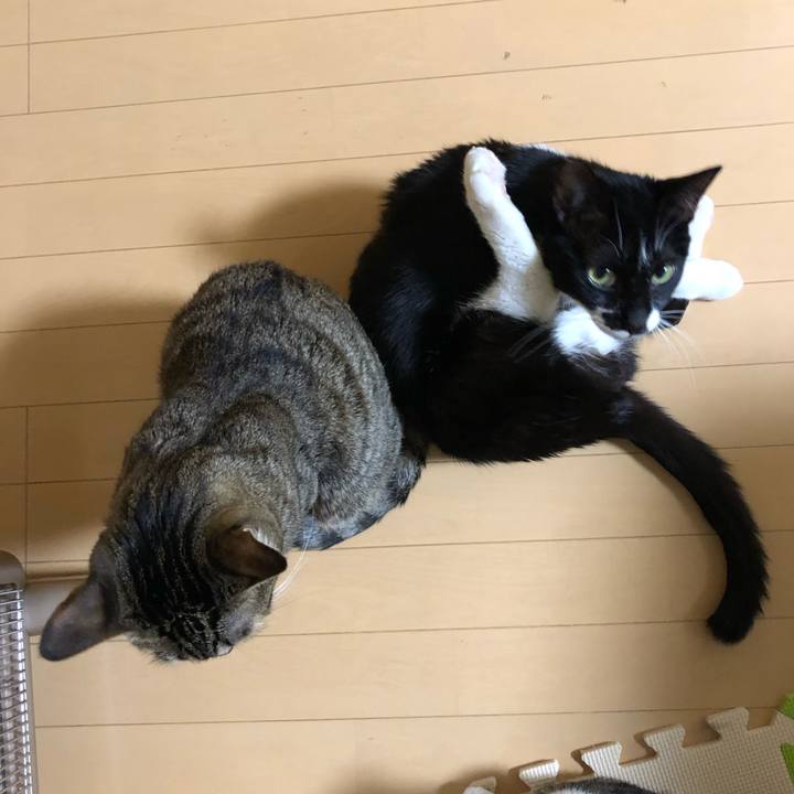 501df521 1b9b 4a96 9934 e4cb8daf4c4a 1550235685384