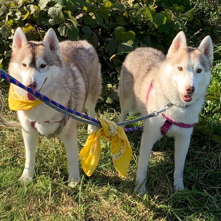 501e0d97 d4e1 4c87 9caa 54293fb79dff 1573986468054