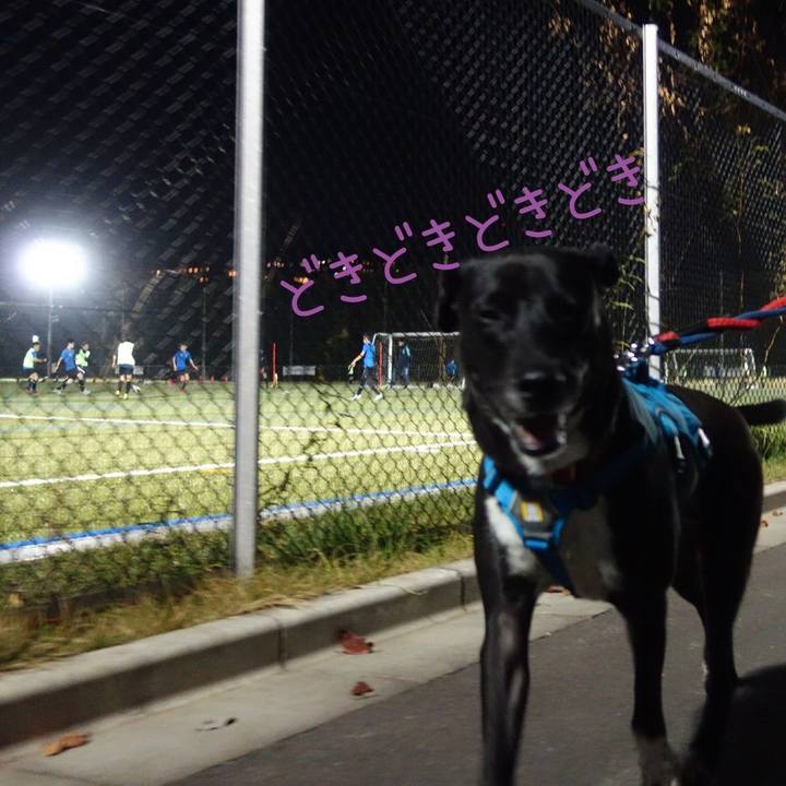 501e9d86 5f13 4619 862b 6e1fed583237 1605607636500