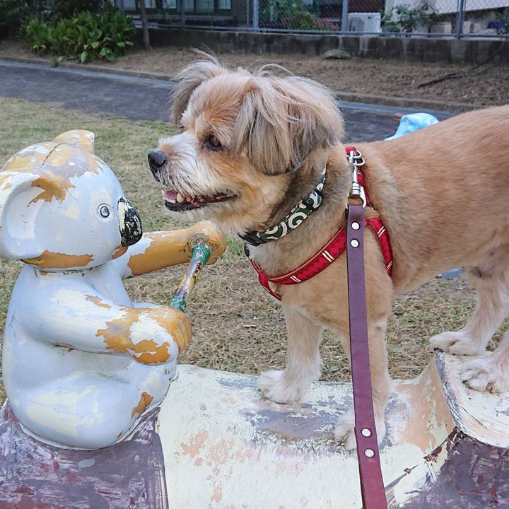 501ea9cd 7b52 49b7 9e26 42f61fe32996 1601848493849