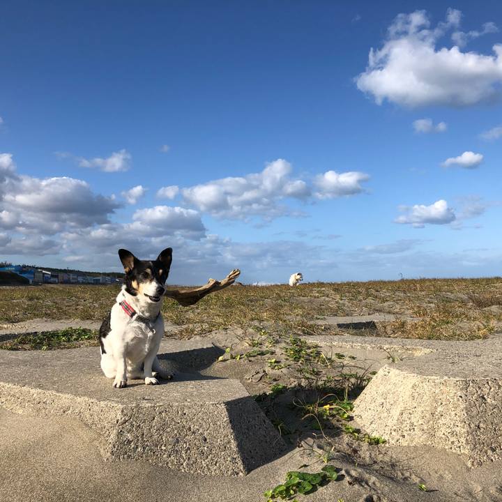 501ecc8b d76a 4f4c bb9a 4c06c190e2c0 1570579284018