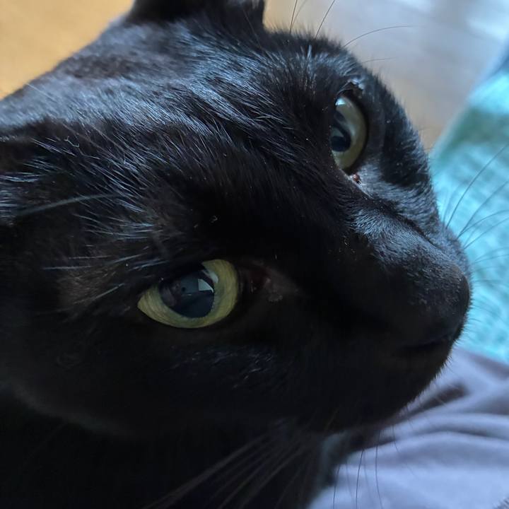 501f08fe 4520 4b66 a3f4 d2a4fcdf13ba 1754946546189