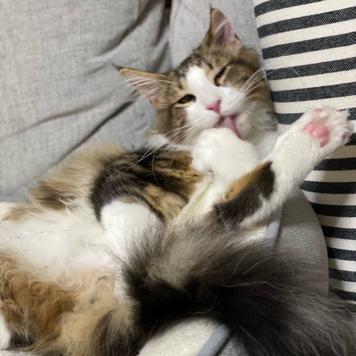 501f66bb 5462 47d7 96b8 34a335063f5d 1637316499573