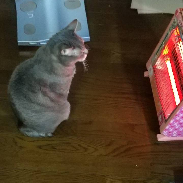 501f7573 560f 45c2 ac3b a07202928c7d 1609026317345