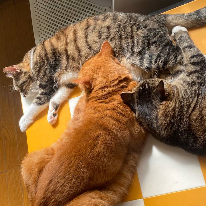 501f89b0 88ba 4049 aa51 eccd3714a77d 1696730703627