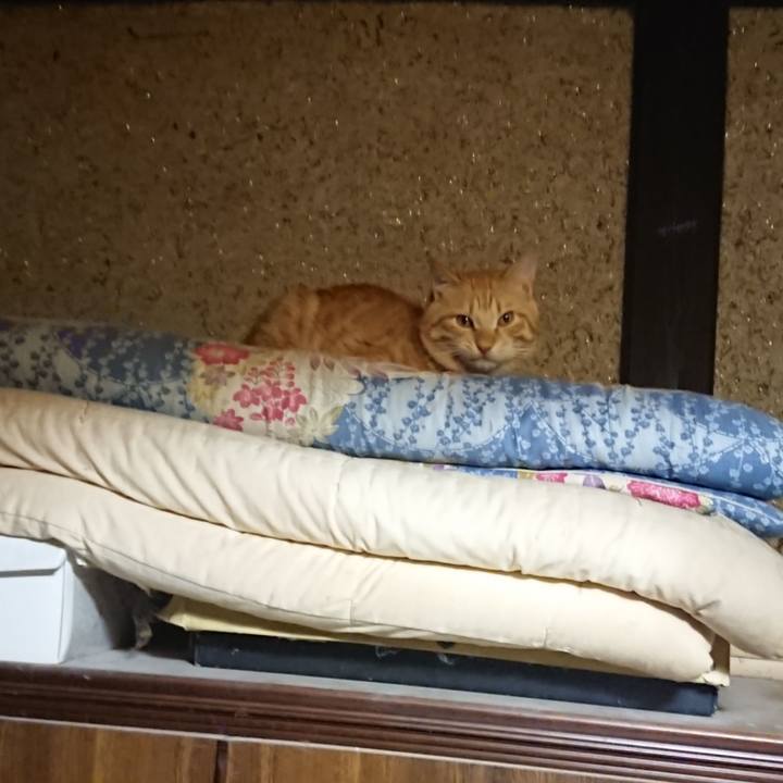 501f8e93 f078 4661 803c b913a7c7da61 1644701462462