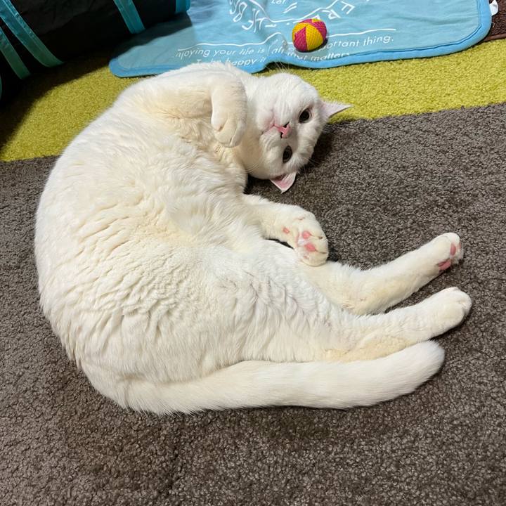 501f9cc8 d46b 4b90 b318 eadda50153cc 1702899333668