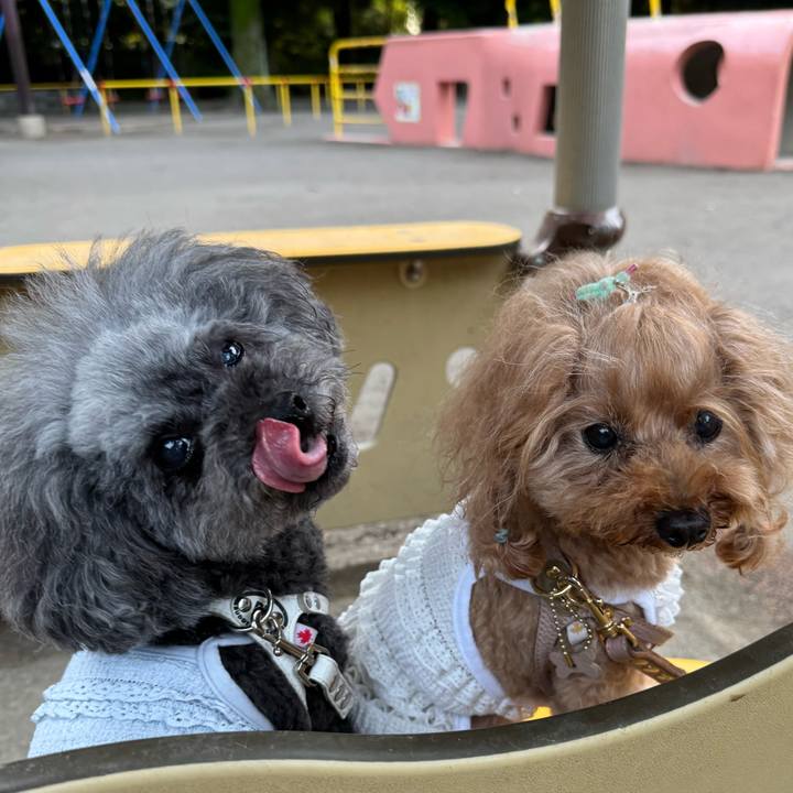 501fdc13 569e 4dad 9358 740a464cadea 1753225910298