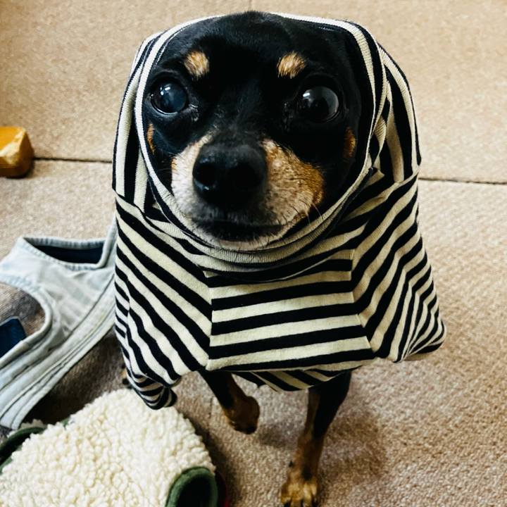 501fe2a7 d3a9 499a aefa a28c4634edf4 1770812996258