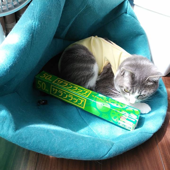 501ff046 b7ff 49b8 a118 efccddc3f046 1585193189591