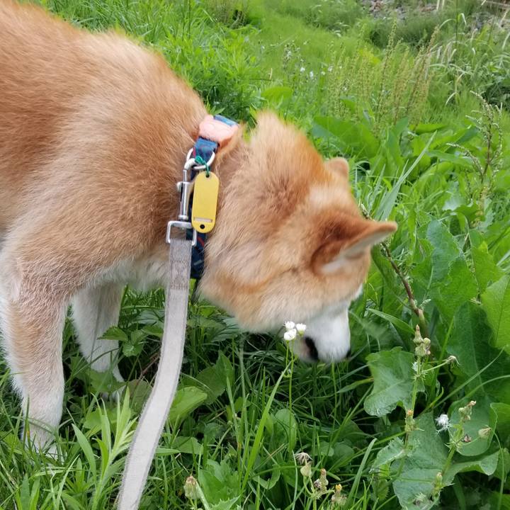 501ffaf1 4b6e 4cec a46e 64e46f72343c 1563264331273