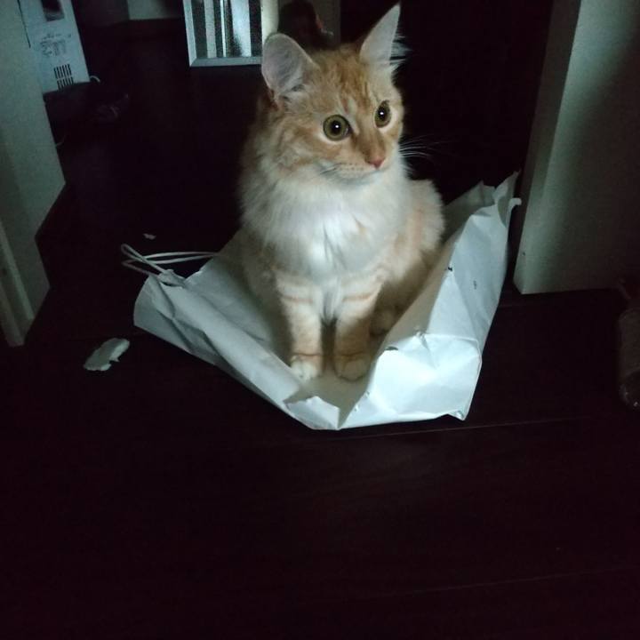 5020102d 7e5f 4bc6 b8f1 3d3772f7e204 1627341568334