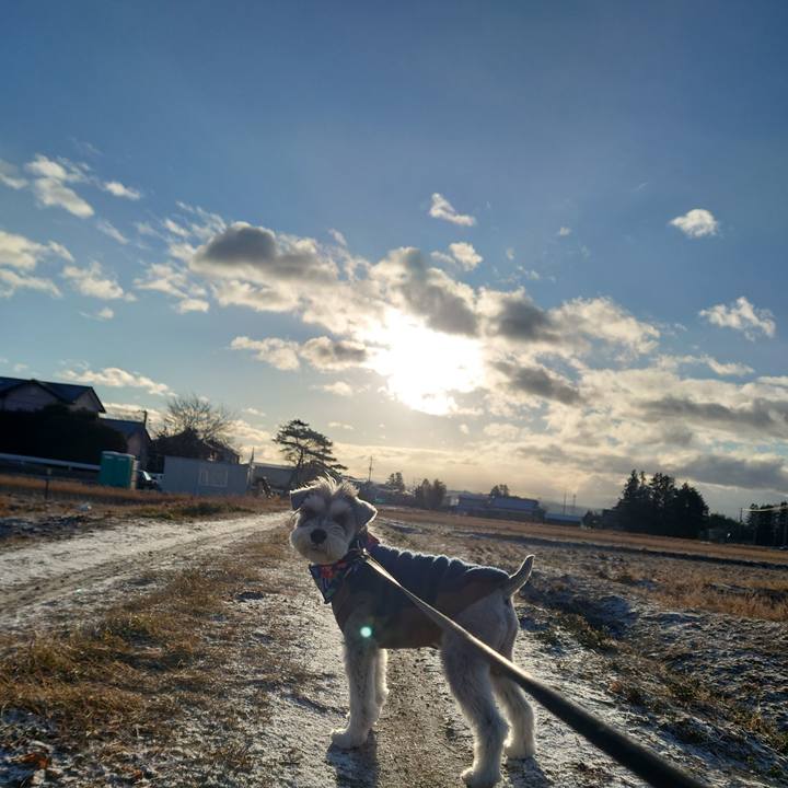 502016ea a50c 4468 b589 0fafc674dffa 1769124215767