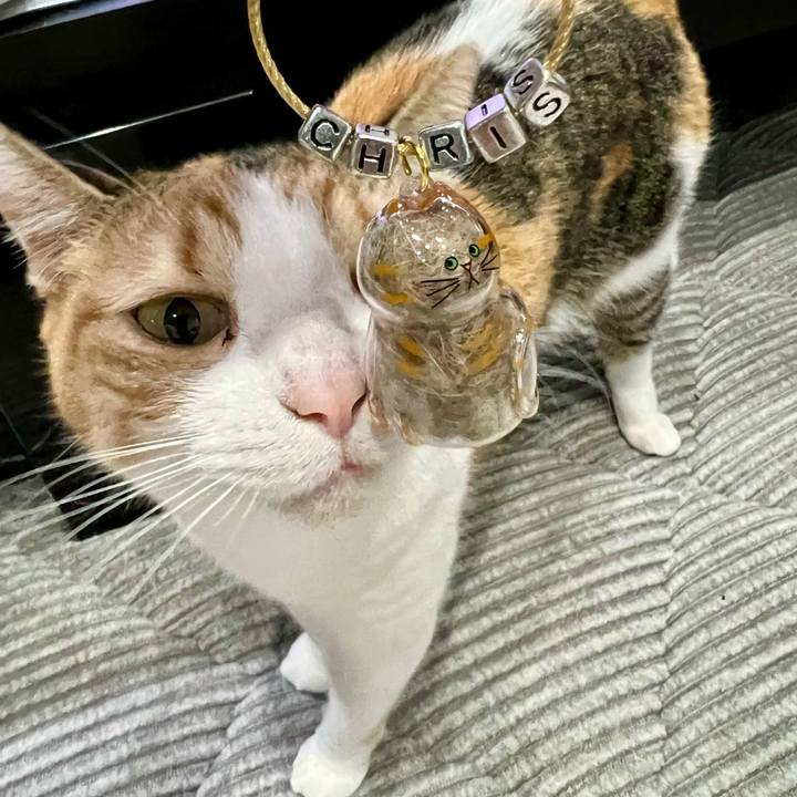 502044f5 cef0 4258 b9b0 bbe50df40087 1772423095120