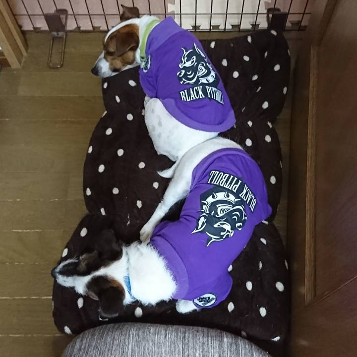 50208fdc 267a 4df9 a696 232b613d2e2c 1590886468601