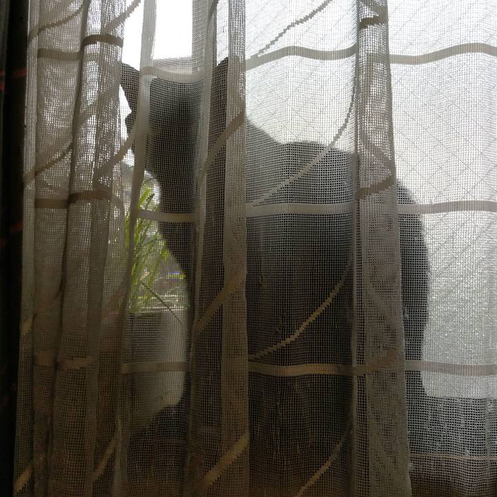 5020a227 4255 4f31 b8c0 68124629169d 1624078709963