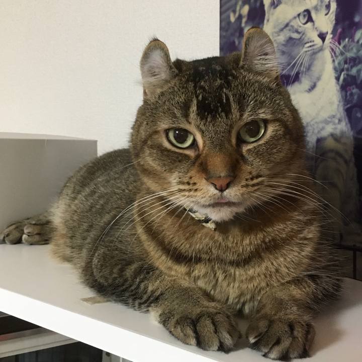 5020d0e0 ca4e 49d2 801e cbdfd7e87a02 1595760215466