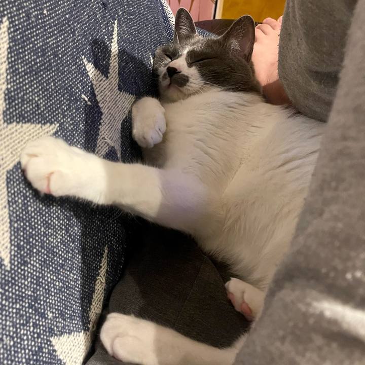 5020f9a1 58dc 43d9 9c11 6322d915d6ba 1649333586248