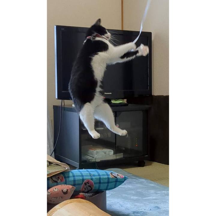 50210d5c ae9a 4f7e 858e 057420a0af93 1672814855940