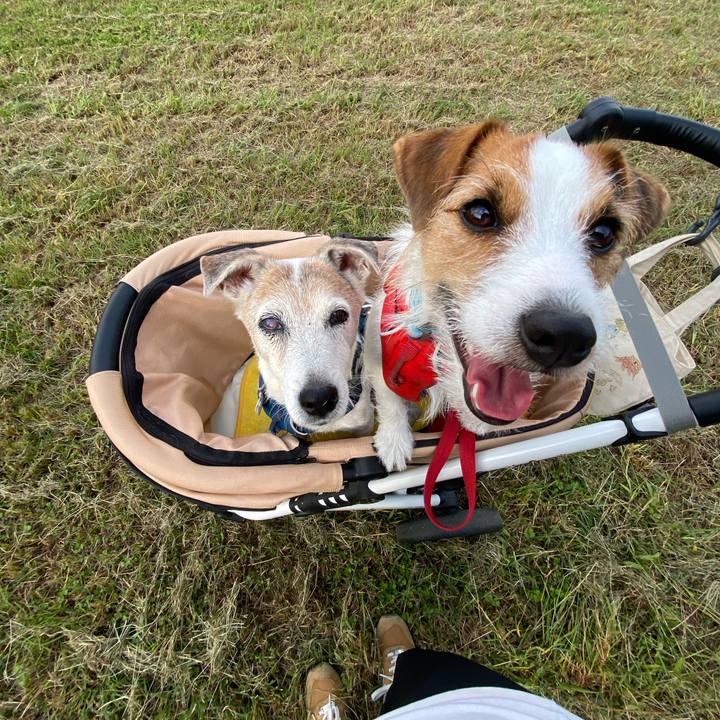 50215f19 6d60 4dd7 ab44 38ef51114c68 1666418417906