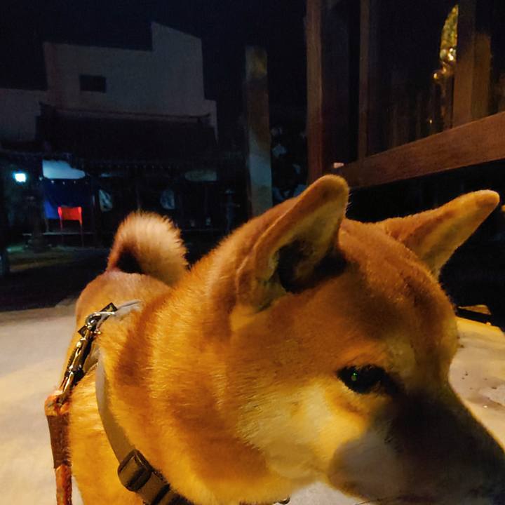 5021f64c fb15 4589 86d0 2834a885a585 1763958024921