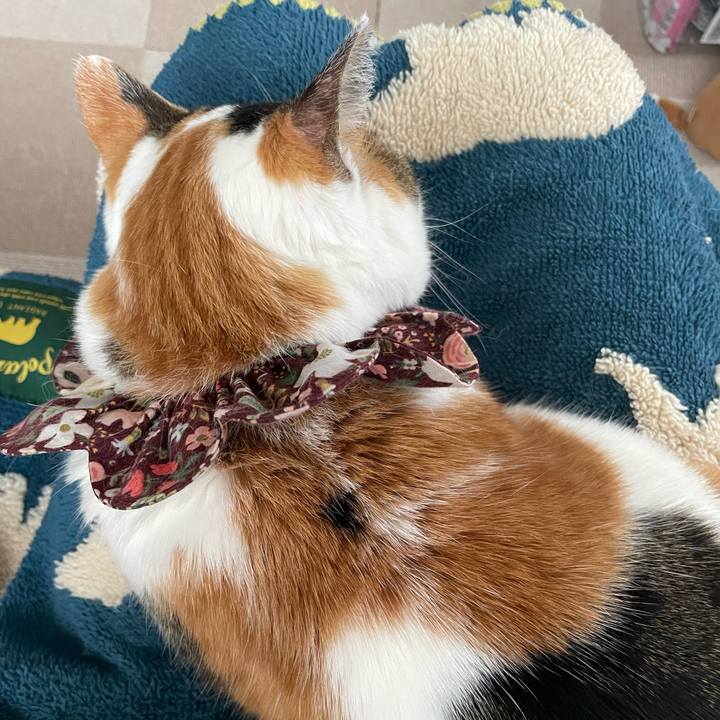 5021fd42 5cab 4774 994d 51ceb655ba64 1743223900086