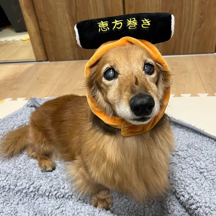 50222da9 1160 4009 ad51 75017fe5ea3b 1675426205217