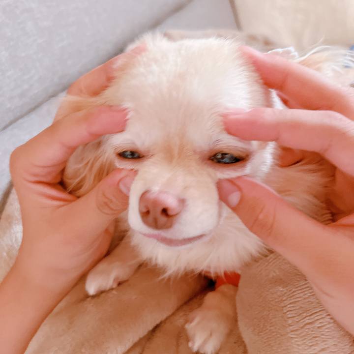 502268b9 ca0d 4bca b6c6 c007ed53e2cf 1659357000774