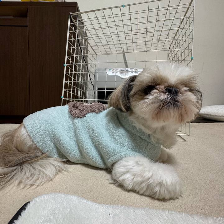 5022b350 a1e6 4afe b0bc 8983e0c1e503 1734782812931