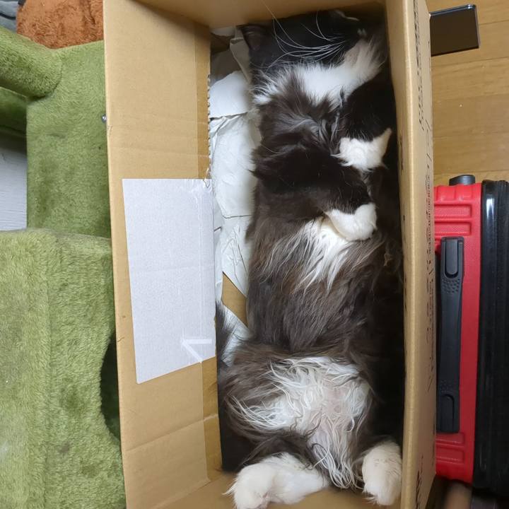 5022b521 af8e 49fb 8377 38378e26cc4b 1747273447023