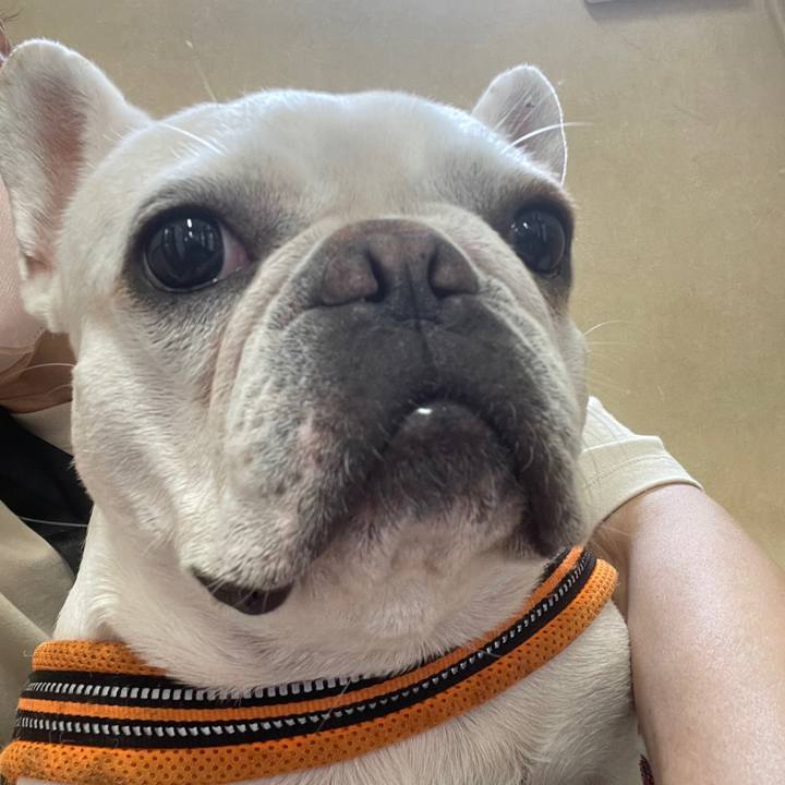 5022bfa6 5772 48b2 9a9c 13ee3cdbf530 1726892289497