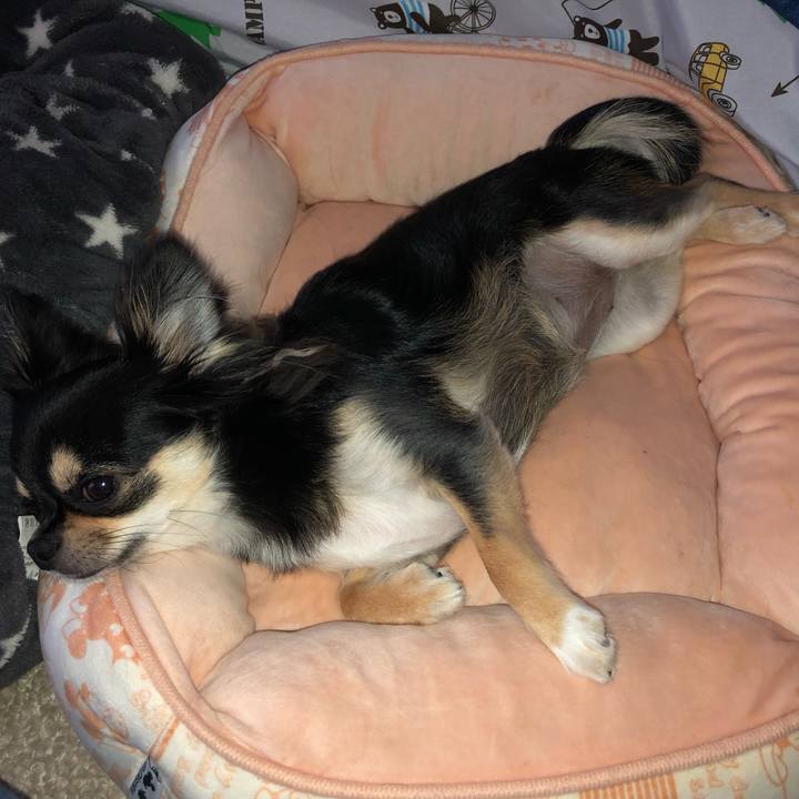 50231180 0aaf 4cab bca7 de9a0fa8fddb 1563107983741