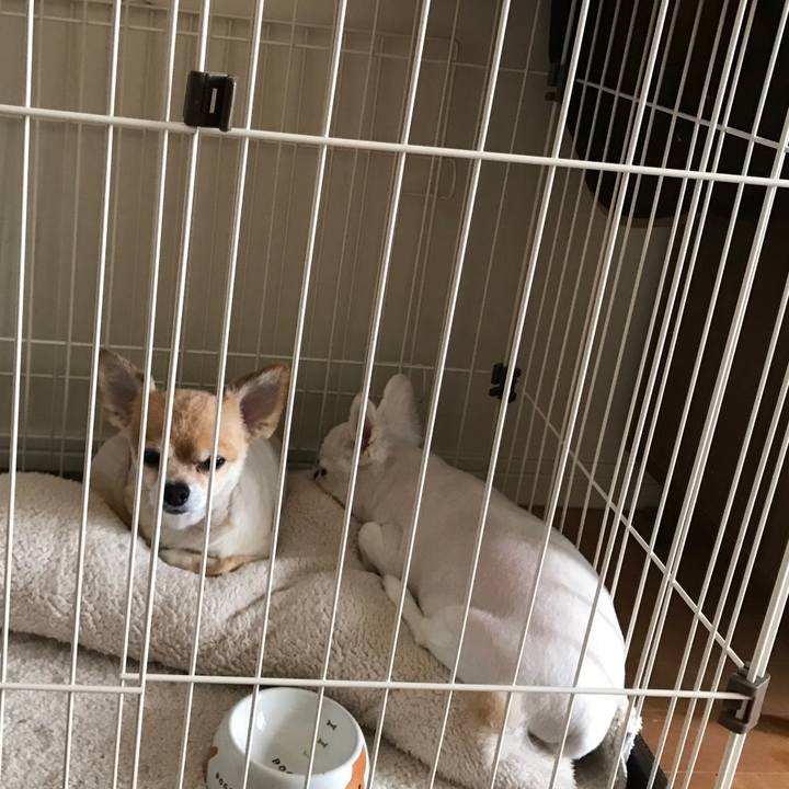 50232319 113d 47f3 8e41 793829d8bf8d 1527141509023