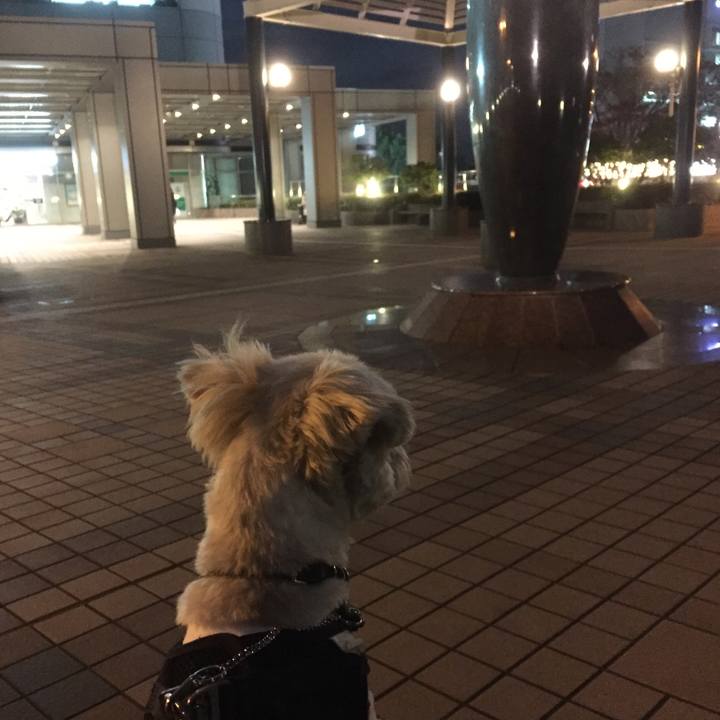 50234948 d6d4 4522 9ba9 25ff1736f7d7 1510918338758