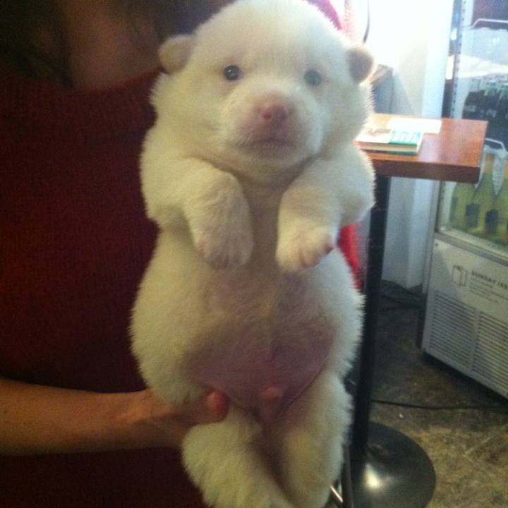 50236097 07e3 4945 949d d20852e1d118 1508119929278