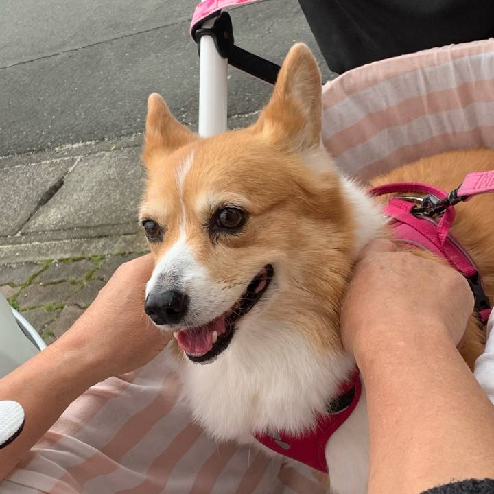 50239333 cbcd 4032 8eb7 5bca3f277045 1713839216288