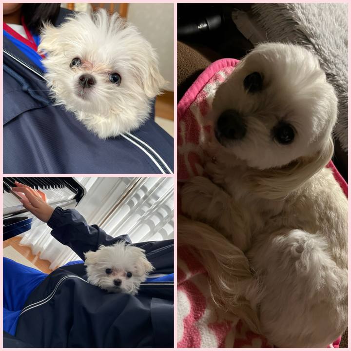 50239ea4 6d46 4672 a64e 3f48d089229c 1702467609722