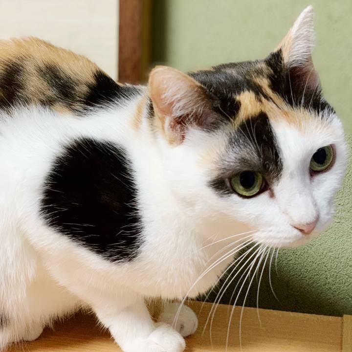 5023dd4b 5ac2 4b49 a7a9 5a27ba902578 1540962228075