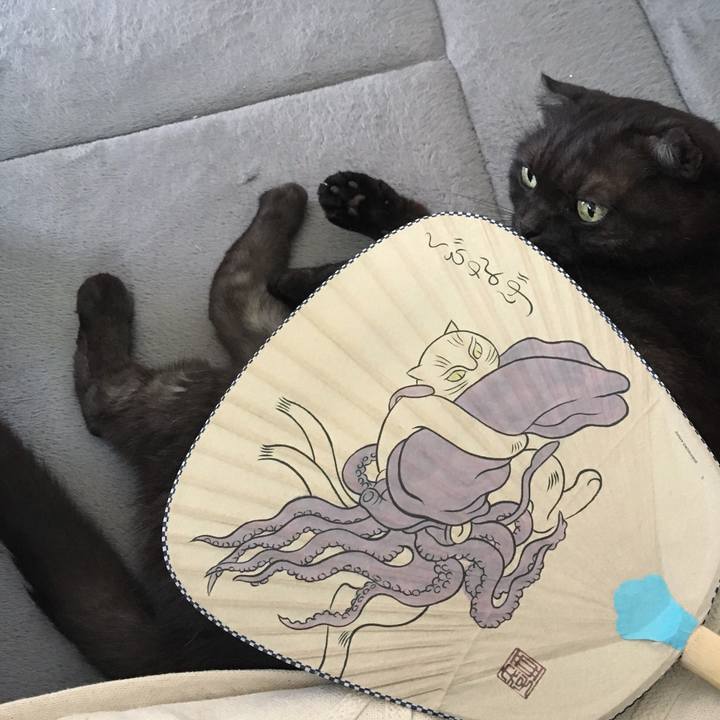 5023ec3c 9384 4294 9ddf 54822268e809 1564284816397