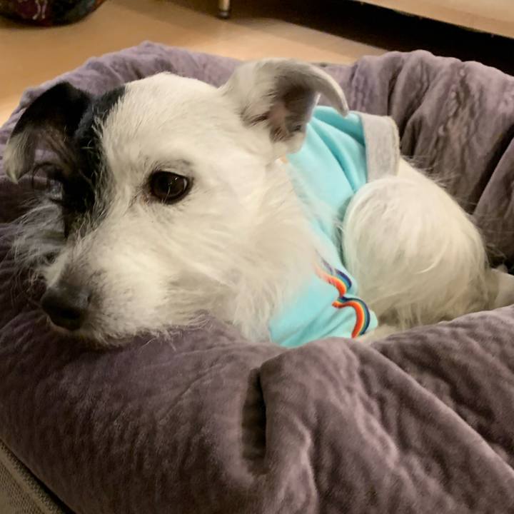 502425b6 e5a0 4818 8c3e fba5c3efccc0 1643367821074