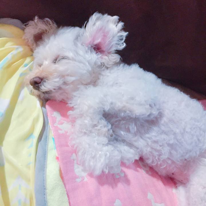 502432f0 50f3 46dd 822a b444490dd5b8 1535763327409